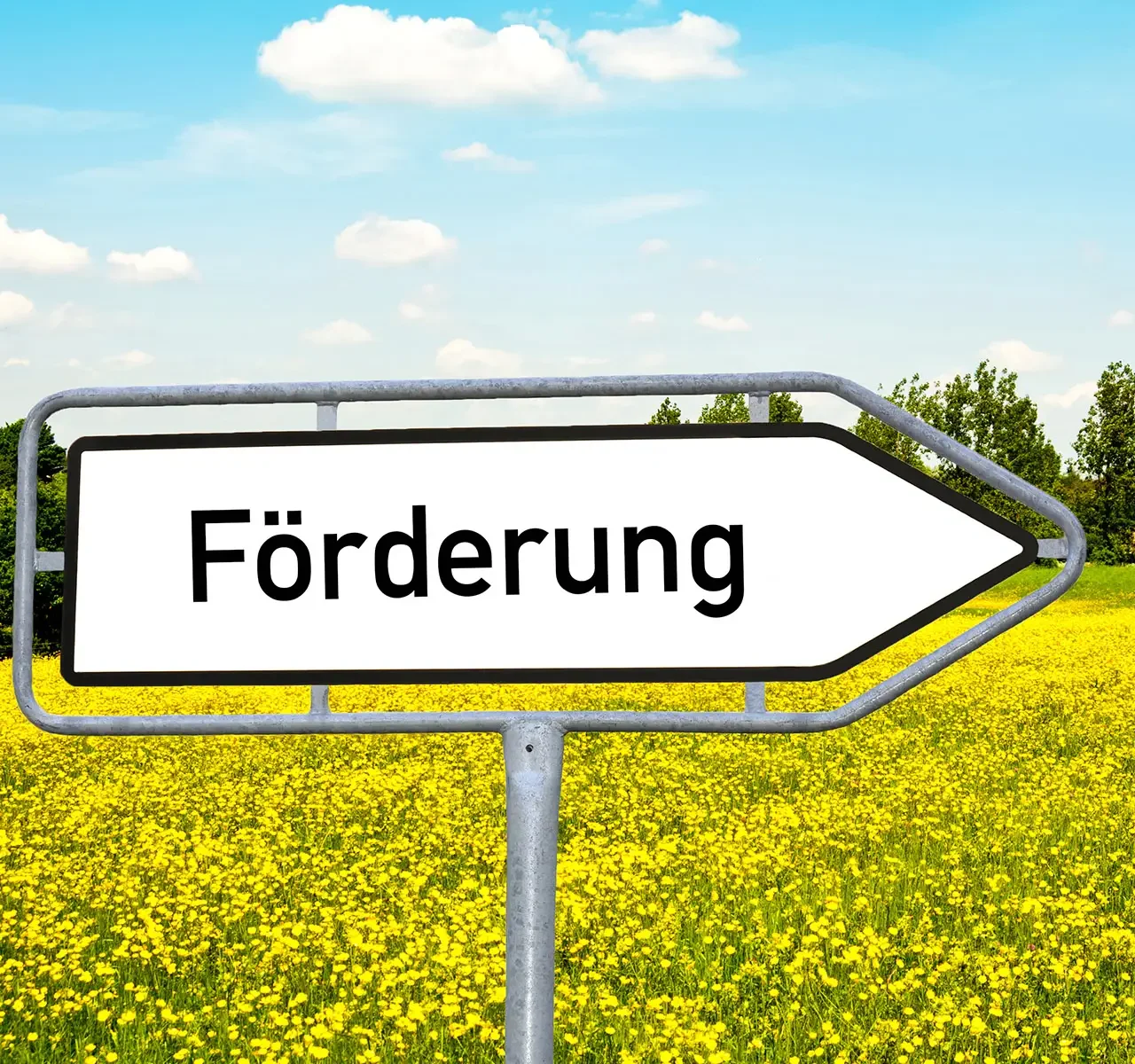 Wegweiser mit Text "Förderung" vor einem Rapsfeld